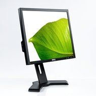 Dell 1908FP 19&quot; flat panel monitor - 1908FPB N5