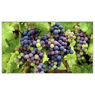 NEC 55&quot; LED 1920 x 1080 3500:1 Ultra-Narrow Bezel Professional-Grade Large-Screen Display...