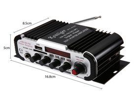 Robolife USB FM IR Control FM MP3 HiFi Stereo Power Digital Amplifier with Romote Control N6