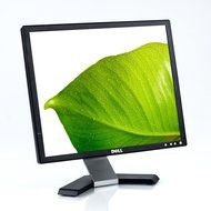 E196FPF Dell E196FPF DELL E196FPF N2