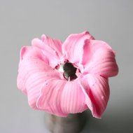 Russian Flower Icing Piping Nozzle Tip Pastry Cake Baking Tool DIY #3 N6