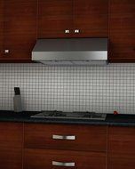 Adv. PRO III 30. 450 CFM / 30 Inches Under-cabinet Stainless Steel Range Hood N2