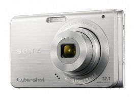 Sony Cybershot DSC-W190 12.1MP Digital Camera with 3x Super Steady Shot Stabilized Zoom and 2.7 inch LCD (Silver)