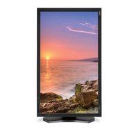 NEC 23&quot; Widescreen Professional Graphics Desktop Monitor, 1920x1080 Native Resolution, 8ms... N3