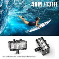 Lightwish 40M Waterproof Diving LED Video Light (CRI95+) + Dome Port Underwater Housing + Aluminum Alloy Diving... N2