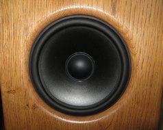 Bookshelf Speakers Tove 6.5/2 Natural Oak N4