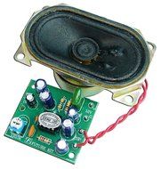 2 W Small Mono Amplifier comes with speaker assembled Electronic Circuit Kit : FA674