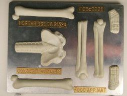 Large Skeleton (bottom half) H103 Halloween Chocolate Candy Mold