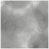 Oasis Supply Oasis Supply Foil Candy Wrappers, 3 by 3-Inch, Silver, 125-Pack