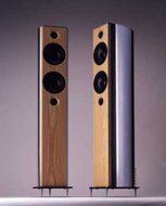 O'heocha CIAN 2.5-Way Stand Floor Speaker, Exclusive 6063-T Aluminium Frame, American Ash, Price Per Unit