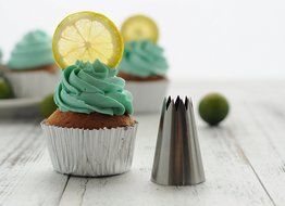 BeBeFun 304 Stainless Steel Extra-Large/ Jumbo Classical Cup Cake Piping Icing Decoration Tips Set. Include French... N9