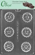 Cybrtrayd F121 Daisy Cookie Chocolate Candy Mold with Exclusive Cybrtrayd Copyrighted Chocolate Molding Instructions