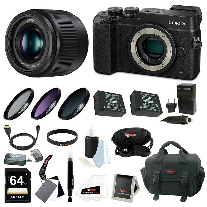 Panasonic Lumix GX8 Mirrorless Camera w/ 25mm f/1.7 Lens & 64GB SD Card Bundle (Black) N2