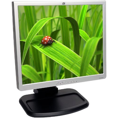 HP L1940 19" Screen 1280 x 1024 Resolution LCD Flat Panel Monitor N3