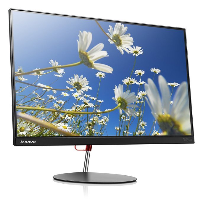 Lenovo X24 23.8-Inch LED-Lit Monitor (65ACGCC1US) N4
