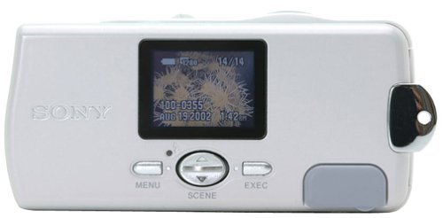 Sony DSCU10 1.3MP Digital Camera N2