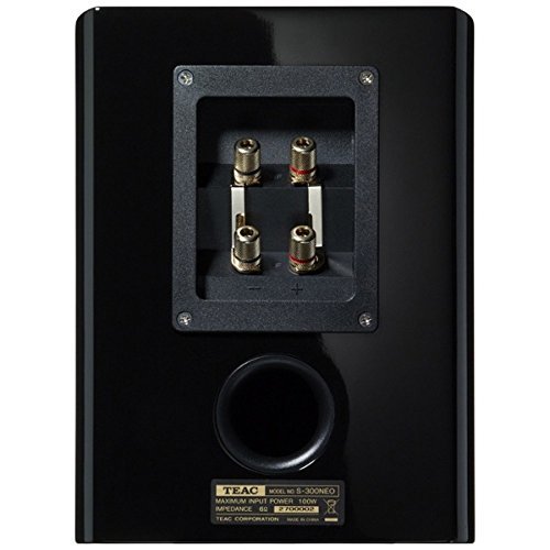 TEAC coaxial 2-way speaker system Special Package (Black) S-300NEO-SP / B N3