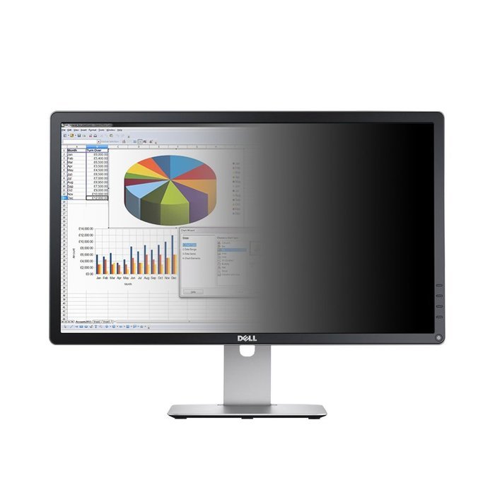 Privacyview PVD2401 Professional 24-Inch LED Monitor Integrated 3M Privacy Filter DELL Display