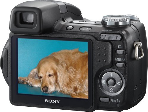 Sony Cybershot DSC-H5 7.2MP Digital Camera with 12x Optical Image Stabilization Zoom N8