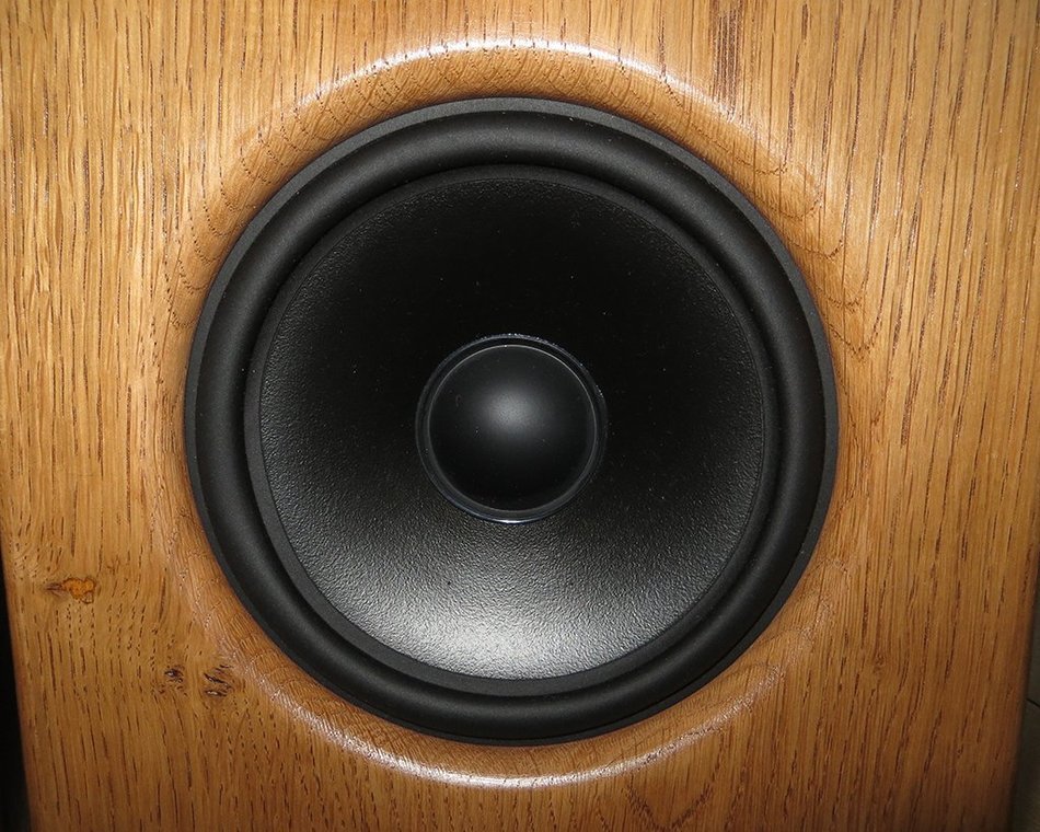 Bookshelf Speakers Tove 6.5/2 Natural Oak N4