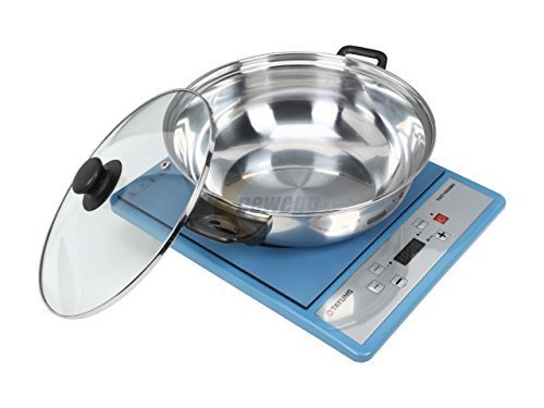 Tatung Tict-1502mu Portable Induction Cooktop with Stainless Steel Pot N5