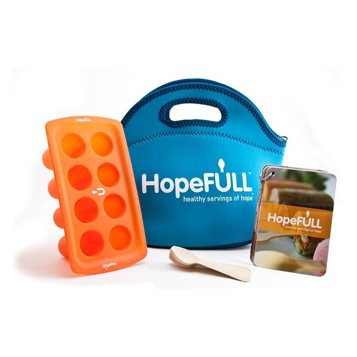 1 X The Hopefull Company Hopefull Kit - Make Frozen Food Pop Recipes for Kids N3
