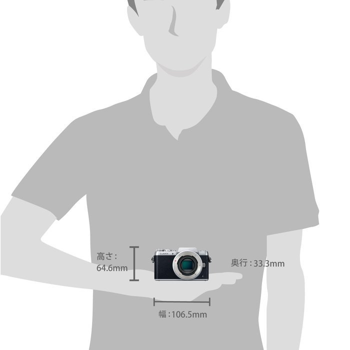 Panasonic DMC-GF7WK Compact System Camera (DSLM) with 12-32mm + 35-100mm Kit - International Version (No Warranty)