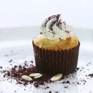 Topro Chocolate Petit Four Cupcake Truffle Candy Cookies Sweet Muffin Cup Paper Cases N3