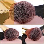 ShungHO MSQ Brand 15pcs Makeup Brushes Set,Roman Style Beauty Comestic Makeup Brushes Tools Kits N6