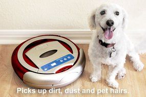 Infinuvo QQ 200 Robot Vacuum - Sweeping, Vacuuming, Sterilizing 3-in-1 Cleaner for Cleaning Pet Hair, Dirt, Dust... N3