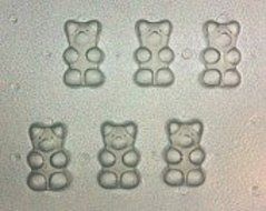Flexible Resin or Chocolate Gummy Bears Mold Set of 6 N2