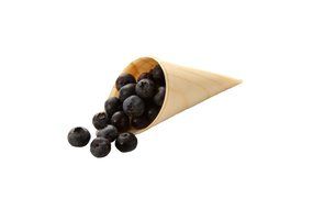 Pinewood Cone Large 7 inches 200 count box N5