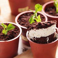 10 PCS Home Household Party Flower Pot Shape DIY Baking Jelly Cake Yogurt Mousse Storage Transparent Cup Holder... N18