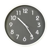 clock watcher crossword clue
