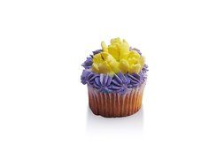SWISS PART 12pcs Stainless Steel Russian Cake Decorating Icing Tips Kit Extra Large Pastry Piping Nozzles and... N7