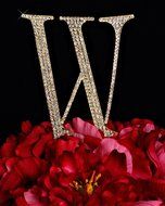 Unik Occasions Collection Crystal Rhinestone Wedding Cake Topper, Large, Letter W, Gold