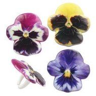 Pansy Flower Cake Cupcake Decoration Rings Flower Favors - 24 pcs