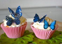 Edible Butterflies &copy; - Small Assorted Blue Set of 24 - Cake and Cupcake Toppers, Decoration