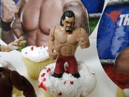 WWE 13 Piece Wrestler Rumblers Wrestling Birthday CUPCAKE Cake Topper Set Featuring 10 RANDOM WWE Rumbler Figures... N9