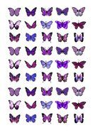 45x Purple Butterflies Edible Cake Toppers (Birthday Cupcake Topper by eShack)