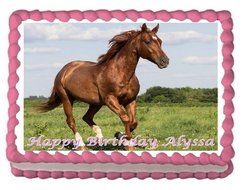 Horse - Brown Edible Image Cake Topper - 1/4 Sheet