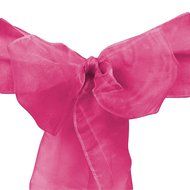 LinenTablecloth Organza Sash (10-Piece) Eggplant N5