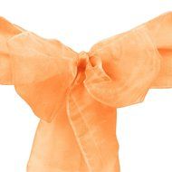 LinenTablecloth Organza Sash (10-Piece) Eggplant N7