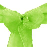 LinenTablecloth Organza Sash (10-Piece) Eggplant N8