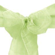 LinenTablecloth Organza Sash (10-Piece) Eggplant N9