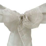 LinenTablecloth Organza Sash (10-Piece) Eggplant N10