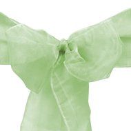 LinenTablecloth Organza Sash (10-Piece) Eggplant N12