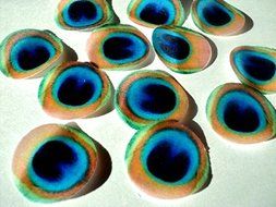 48 round very small 1&quot; Green Edible Decorative Wafer Paper Peacock Feathers &copy; Wedding Cake Cupcake Toppers N3