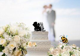Beauty and the Beast Inspired Tale as Old as Time on Side Wedding Cake Topper