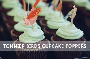 Tonnier - &hearts; Lovely Animals Series &hearts; - Zoo Set of 24 Pieces - Cake and Cupcake Toppers, Decoration N7
